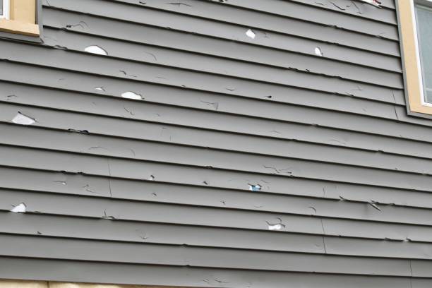 Best Siding Maintenance  in Sedona, AZ